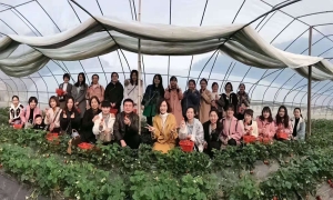 ������Ư��Ů��� ��Լ������