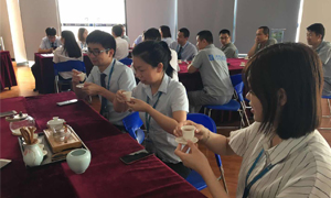 ga�ƽ��ƽ̨֮�Һ����ֹ�˾2019��ӥ����066��֮�����꿪չ������������ѵ��